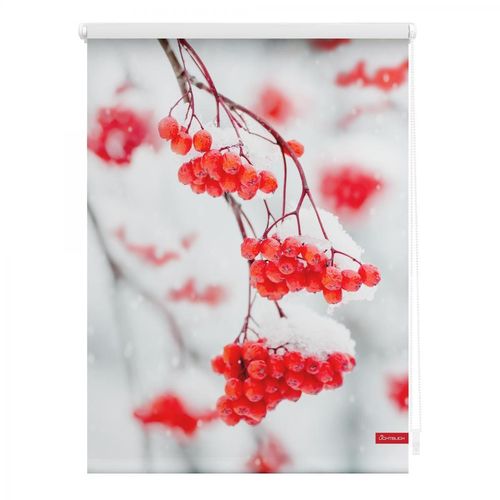 Lichtblick Rollo Klemmfix, ohne Bohren, blickdicht, Vogelbeeren - Rot Weiß, 45 cm x 150 cm (B x L)