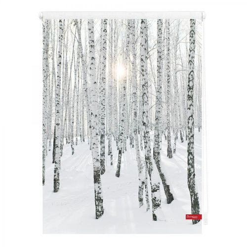 Lichtblick Rollo Klemmfix, ohne Bohren, blickdicht, Birkenwald - Weiß, 80 x 150 cm (B x L)