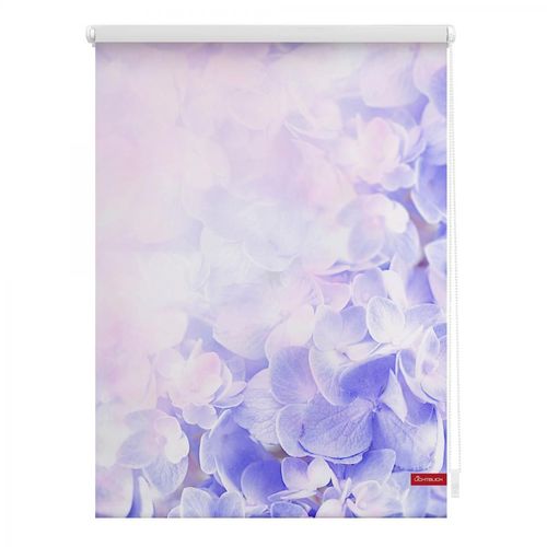 Lichtblick Rollo Klemmfix, ohne Bohren, blickdicht, Hortensie - Lila, 120 x 150 cm (B x L)