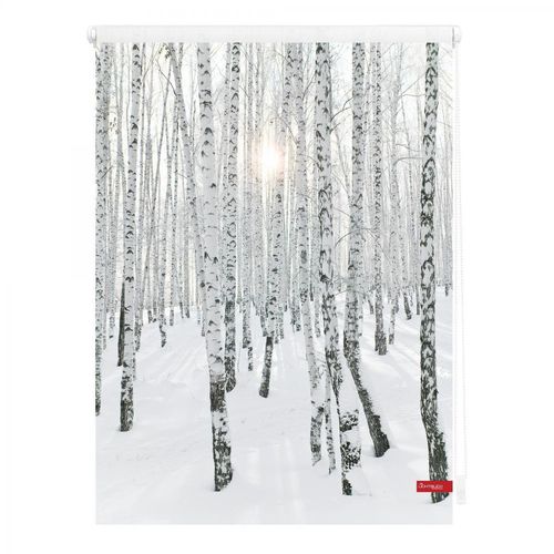 Lichtblick Rollo Klemmfix, ohne Bohren, blickdicht, Birkenwald - Weiß, 60 x 150 cm (B x L)