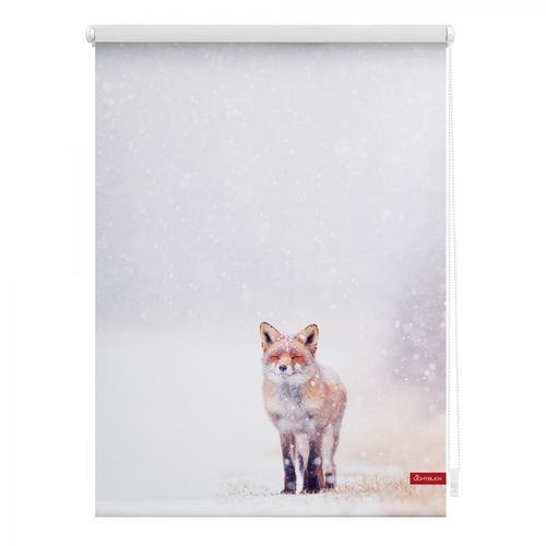 Lichtblick Rollo Klemmfix, ohne Bohren, blickdicht, Fuchs im Schnee - Weiß Rot, 60 cm x 150 cm (B x