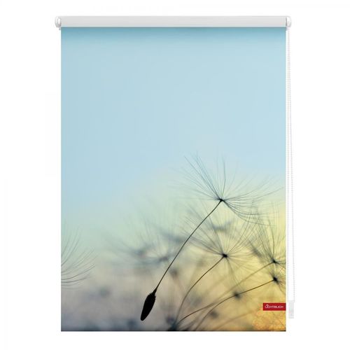 Lichtblick Rollo Klemmfix, ohne Bohren, blickdicht, Pusteblume - Blau, 45 x 150 cm (B x L)