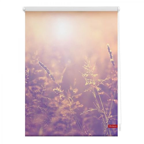 Lichtblick Rollo Klemmfix, ohne Bohren, blickdicht, Sommerabend - Orange, 80 x 150 cm (B x L)