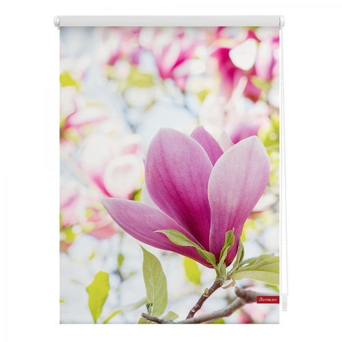 Lichtblick Rollo Klemmfix, ohne Bohren, blickdicht, Magnolie - Rosa, 80 x 150 cm (B x L)