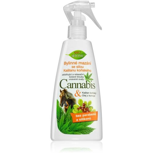 Bione Cosmetics Cannabis Hennep Gel voor vermoeide spieren 260 ml