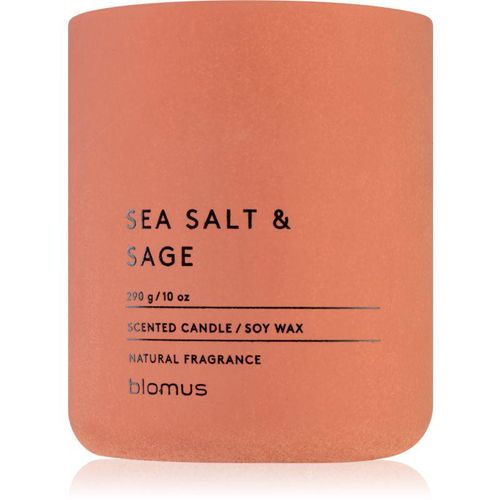Blomus Fraga Sea Salt & Sag geurkaars 290 gr