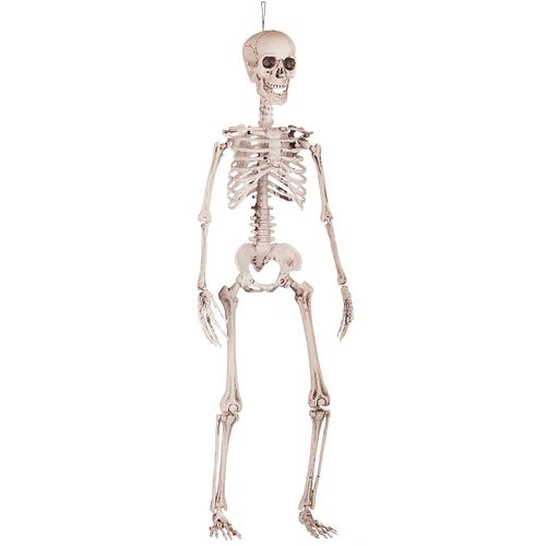 Deko-Aufhänger "Skelett", 90 cm