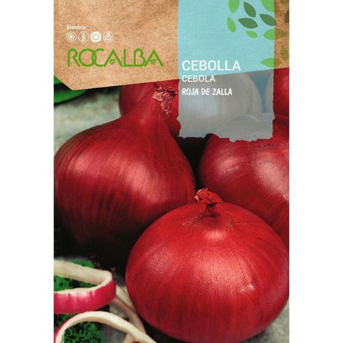 Rocalba - Rokalba -Samen Zalla 500 g Zwiebelsamen