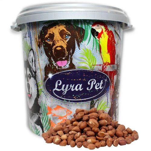 10 kg Lyra Pet Erdnusskerne mit Haut hk Südamerika in 30 l Tonne