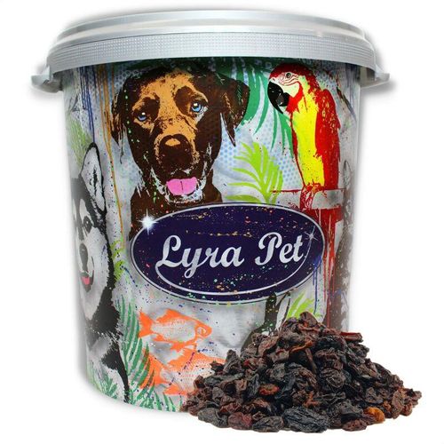 Lyra Pet - 10 kg ® Rosinen in 30 l Tonne