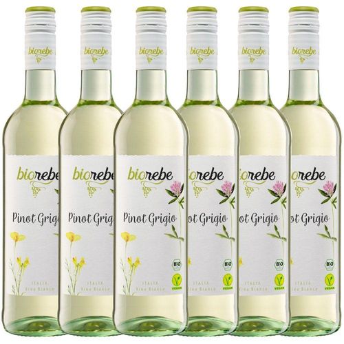 BioRebe Pinot Grigio trocken 2021 0,75l 6er Karton