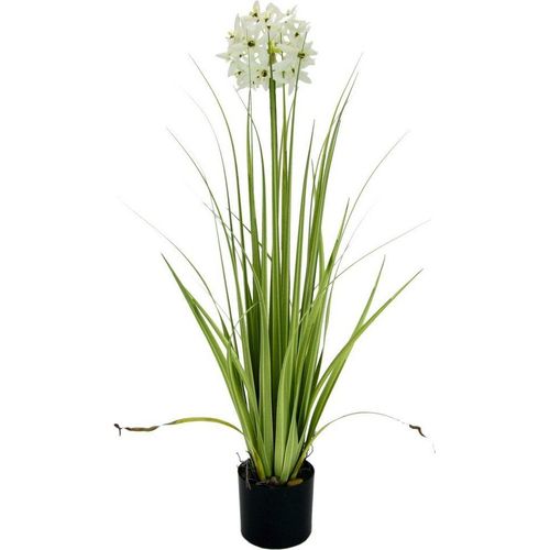 Kunstblume Allium, I.GE.A., Höhe 68 cm, im Topf, lila|weiß