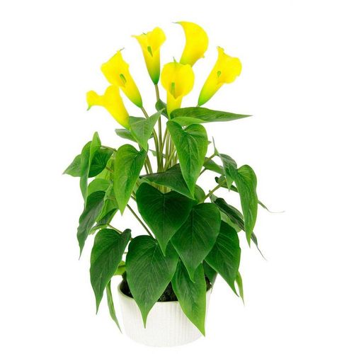 Kunstblume Calla, I.GE.A., Höhe 45 cm, Im Topf aus Keramik Kunstpflanze Künstliche Blumen Seidenblumen, gelb