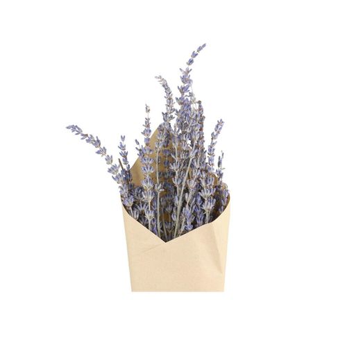 Chic Antique Fleur getrocknete Lavendel Blumen, L60 cm, lavendel