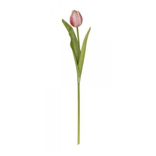 Chic Antique Fleur Tulpe, H47 cm, himbeere