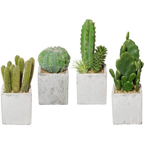 Kunstkaktus CREATIV GREEN "Kaktus" Kunstpflanzen grün 4er Set, im Zementtopf
