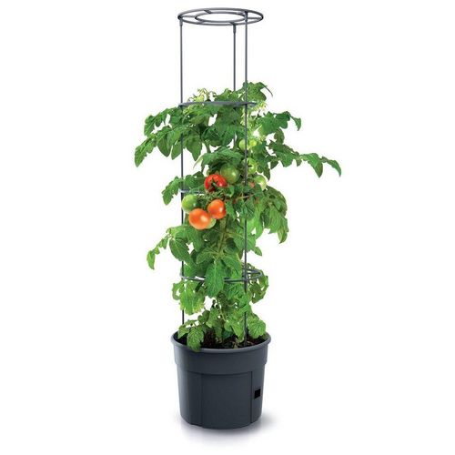 Spetebo Blumentopf Tomaten Pflanz Topf m. Rankhilfe