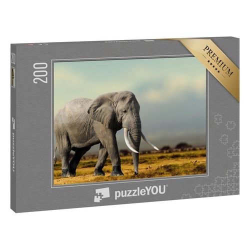 puzzleYOU Puzzle Afrikan. Elefant