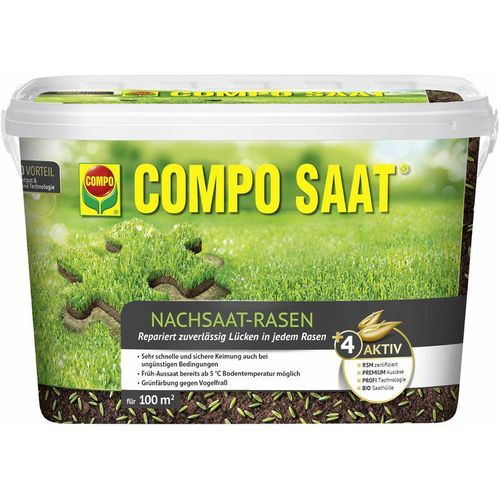 Saat® Nachsaat-Rasen 2kg für 100m² - Compo
