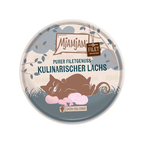 MjAMjAM Purer Filetgenuss - kulinarischer Lachs 16x80g