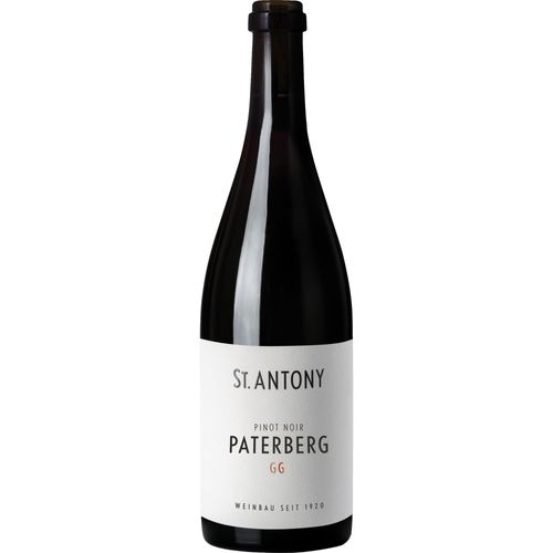 Paterberg Pinot Noir GG, Trocken, Rheinhessen, Rheinhessen, 2020, Rotwein