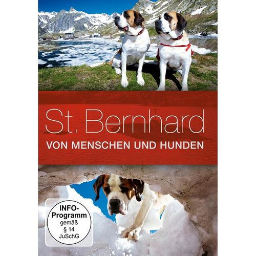 St. Bernhard - Von Menschen und Hunden (DVD)