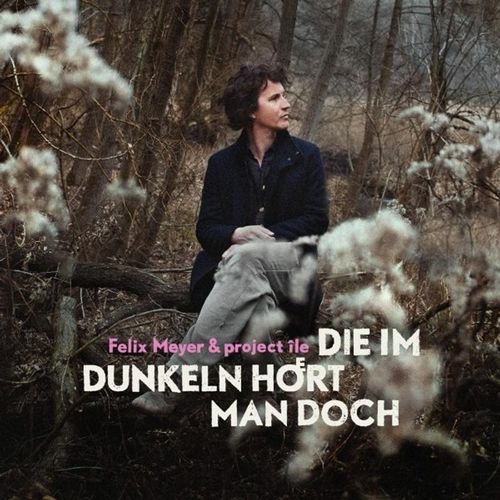 Die Im Dunkeln Hört Man Doch - Felix Meyer. (CD)
