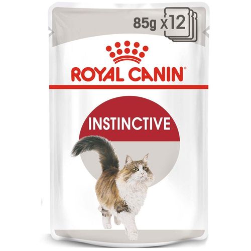 ROYAL CANIN INSTINCTIVE Katzenfutter nass in Soße 48x85g