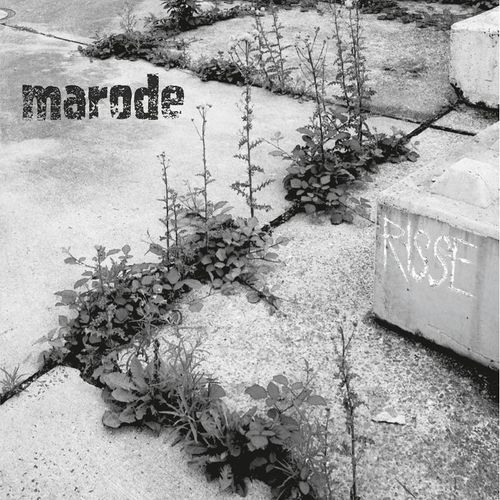 Risse (+Booklet) (Vinyl) - Marode. (LP)