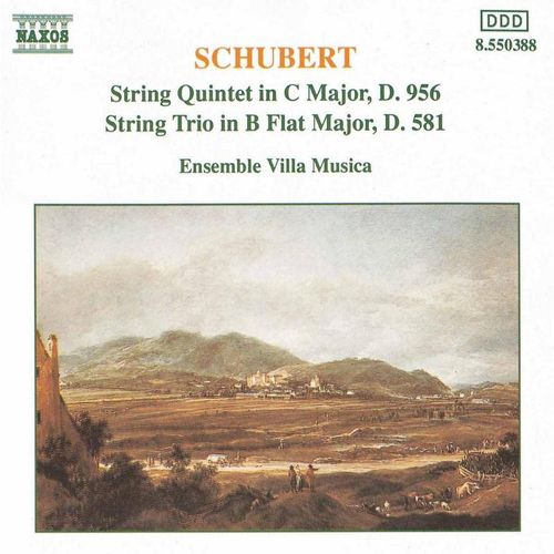 Streichquintett/Streichtrio - Ensemble Villa Musica. (CD)