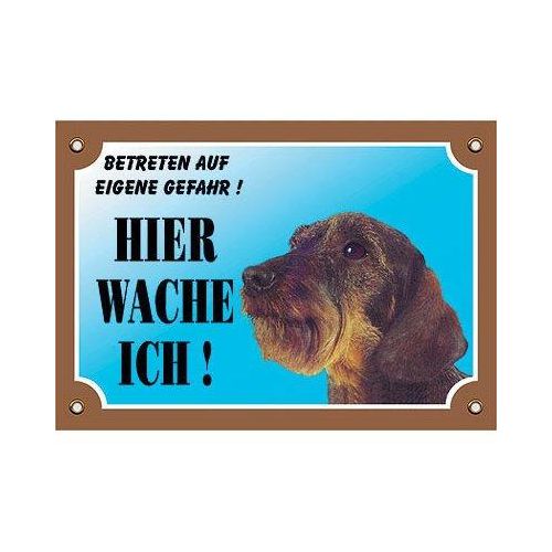Nobby Warntafel Hund, Rauhaar Dackel