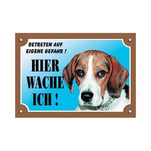 Nobby Warntafel Hund, Beagle