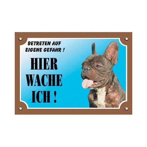 Nobby Warntafel Hund, Französische Bulldogge