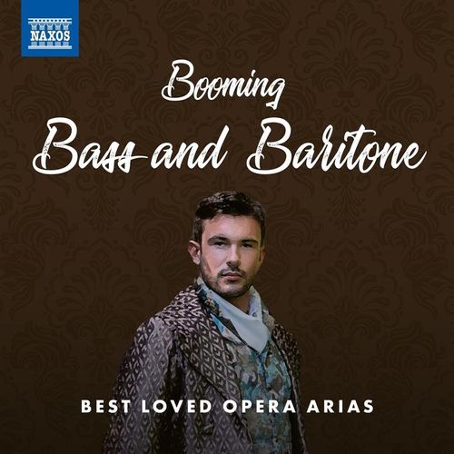 Booming Bass And Baritone - Various. (CD)