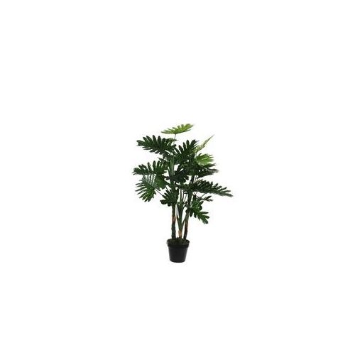Mica Philodendron im Plastik Topf grün, 100 x 70 cm