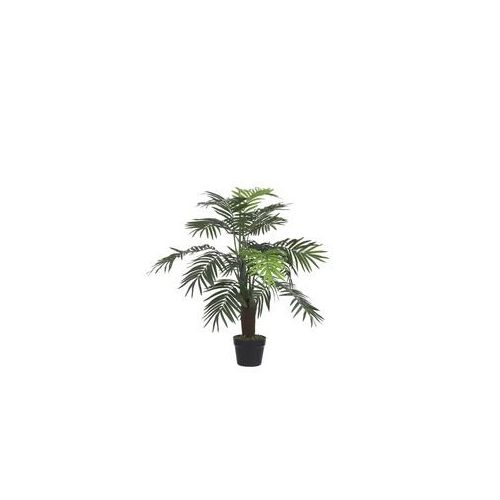 Mica Palme im Topf grün, 110 x 70 cm