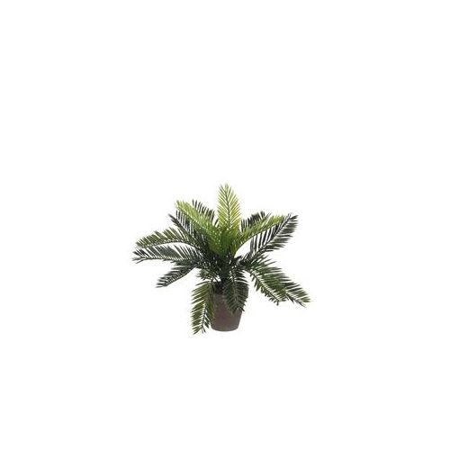 Mica Cycas Palme grün im Topf 33 x 34 cm
