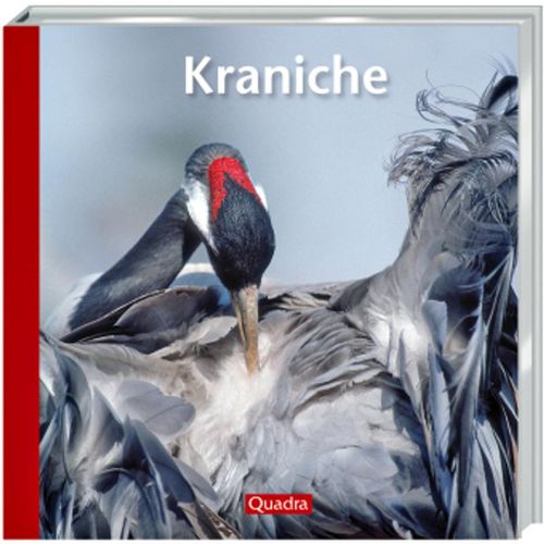 Kraniche - Willi Rolfes, Gebunden