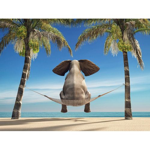 Papermoon Fototapete »Elefant auf Hängematte an Strand«