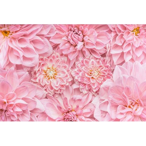 Papermoon Fototapete »Blumen«