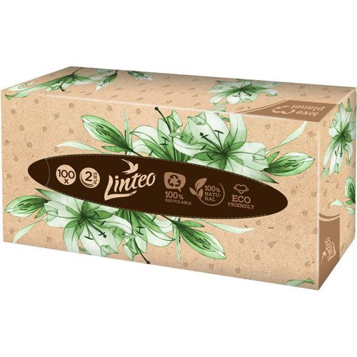 Linteo Paper Tissues Two-ply Paper, 100 pcs per box papieren zakdoekjes 100 st