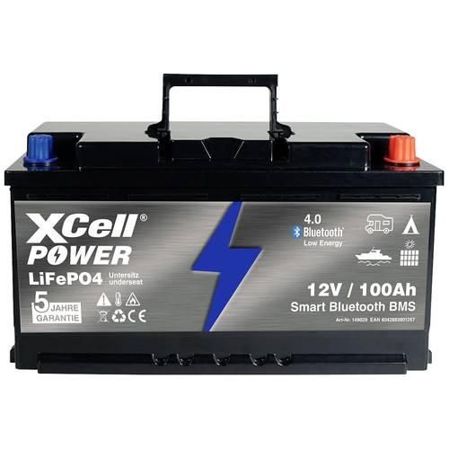 XCell Spezial-Akku Spezial-Akku LiFePO 4 12 V 100 Ah