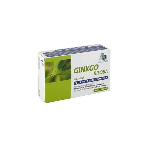 Ginkgo 100 mg Kapseln+B1+C+E 48 St