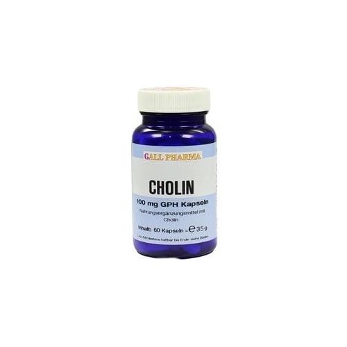 Cholin 100 mg GPH Kapseln 60 St
