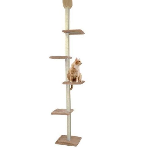 Katzen Kratzbaum raumhoch beige