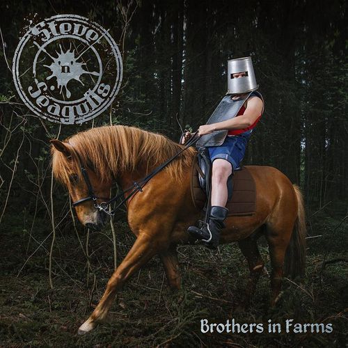Brothers In Farms - Steve 'n' Seagulls. (CD)