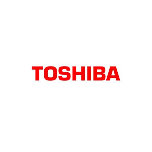 Toshiba - process unit