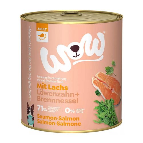 WOW Adult Lachs mit Löwenzahn und Brennnessel 6x800g