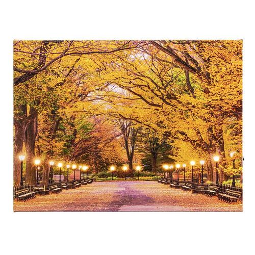 LED-Wandbild "Herbstweg" 40 x 30 cm