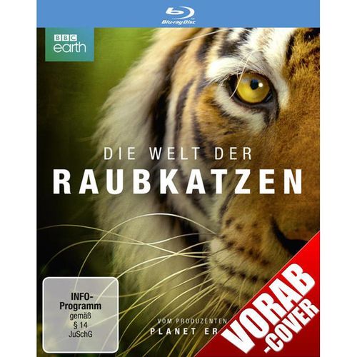Die Welt der Raubkatzen (Blu-ray)